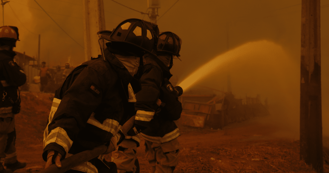 ¡Emergencia forestal en Viña del Mar superada! Bomberos logran controlar los incendios