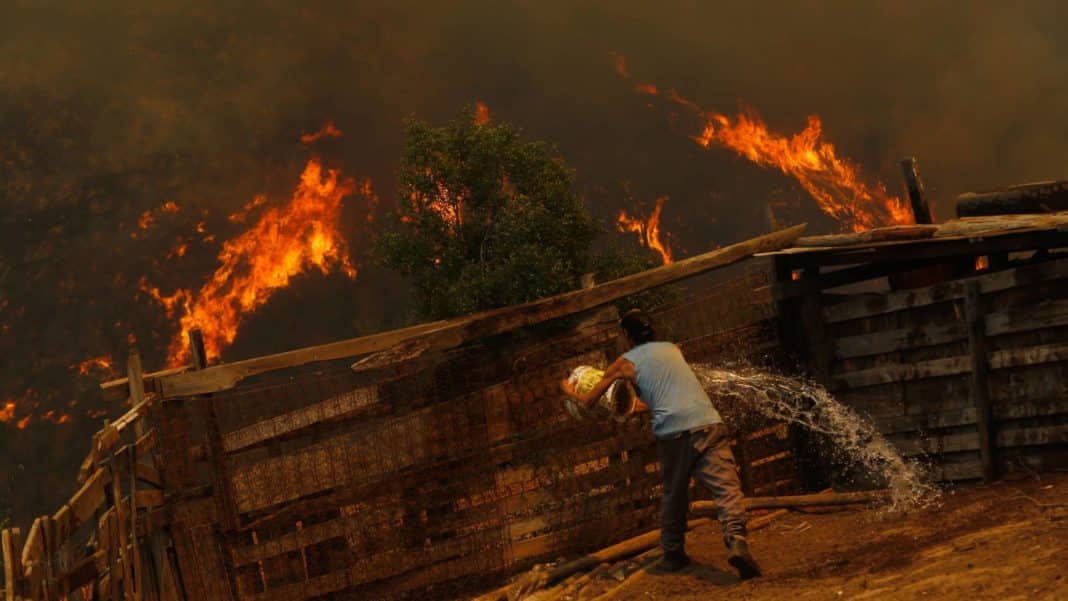 ¡Escándalo! Ministro de Agricultura confirma la intencionalidad de los incendios en Valparaíso