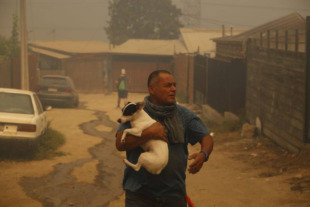 ¡Evacuación inmediata! Senapred llama a actuar ante incendios forestales