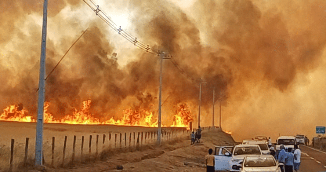 ¡Evacuación total en Galvarino! Incendios forestales amenazan a la comuna