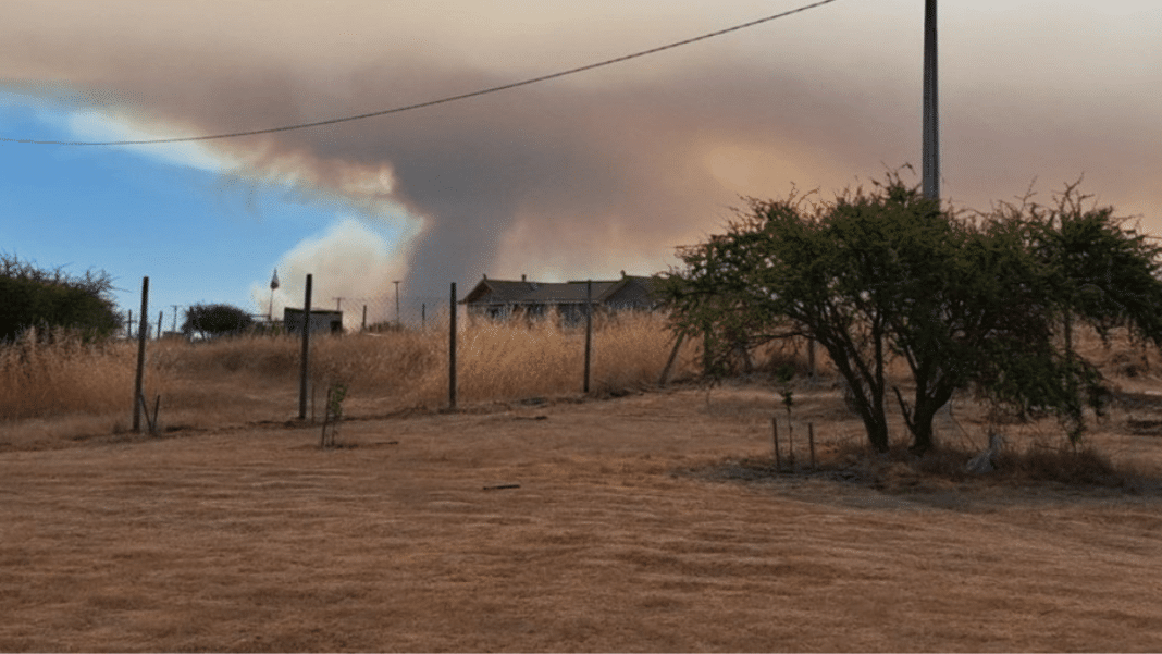 ¡Evacuación urgente! Incendio forestal en La Estrella pone en peligro a la población