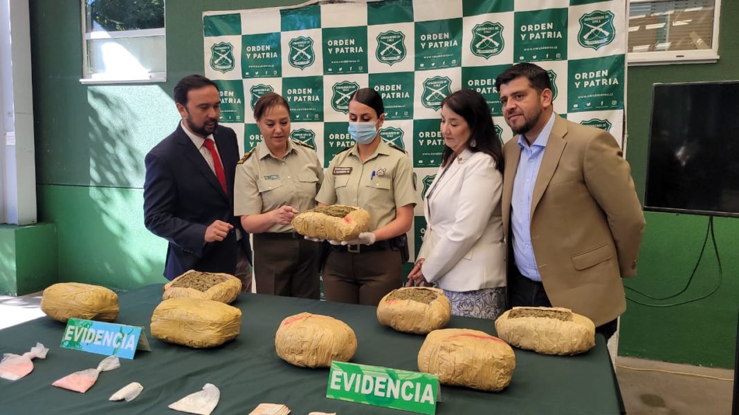 ¡Histórica incautación! Carabineros decomisa 149 kilos de marihuana y desmantela organización criminal en Ñuble