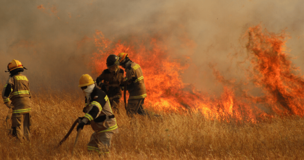 ¡Impactante! Acusado de iniciar incendio forestal en Lautaro queda con arresto domiciliario total