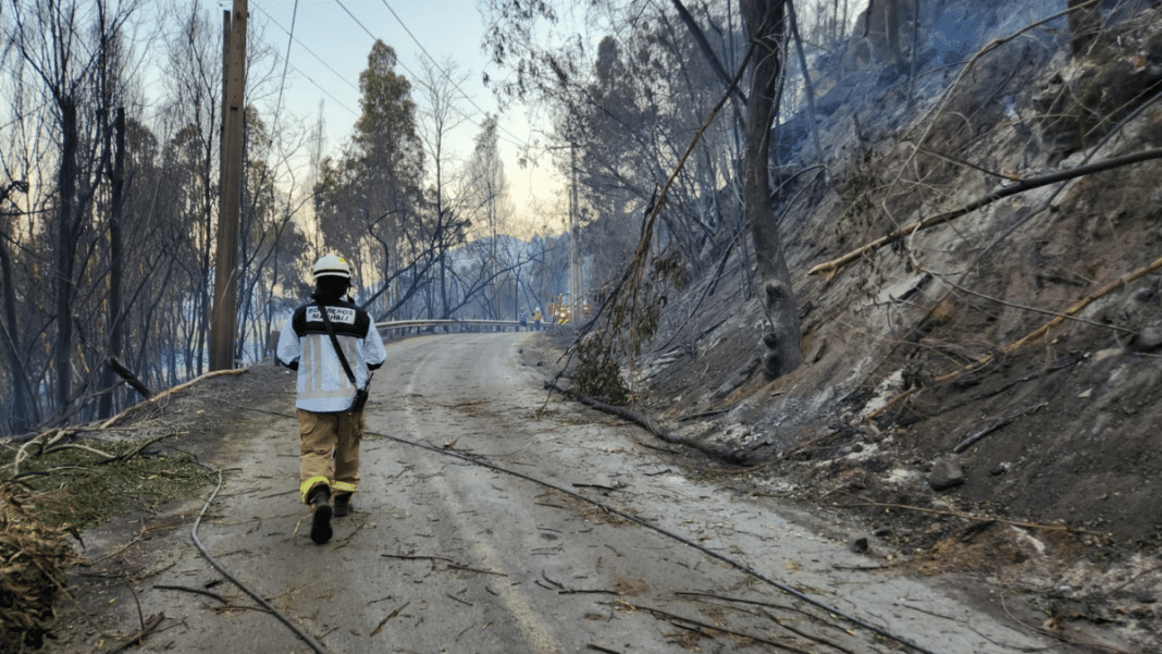 ¡Impactante! Dos detenidos por incendio forestal en un cerro de Temuco