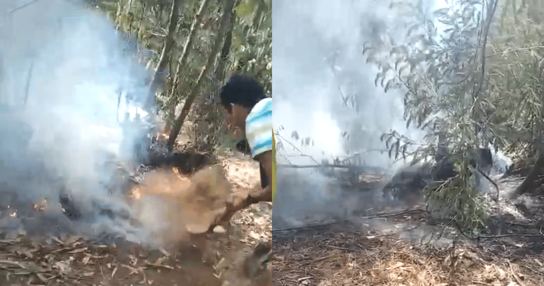 ¡Impactante! Hombre huye dejando un bidón con papeles en incendio forestal en Puchuncaví