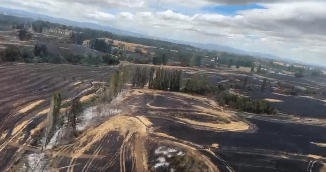 ¡Impactante! Tierras agrícolas devastadas por incendio forestal en San Pablo tardarían un año en recuperarse