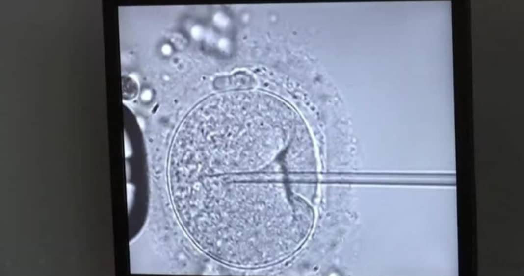 ¡Impactante fallo judicial en Alabama pone en peligro la fertilidad in vitro!