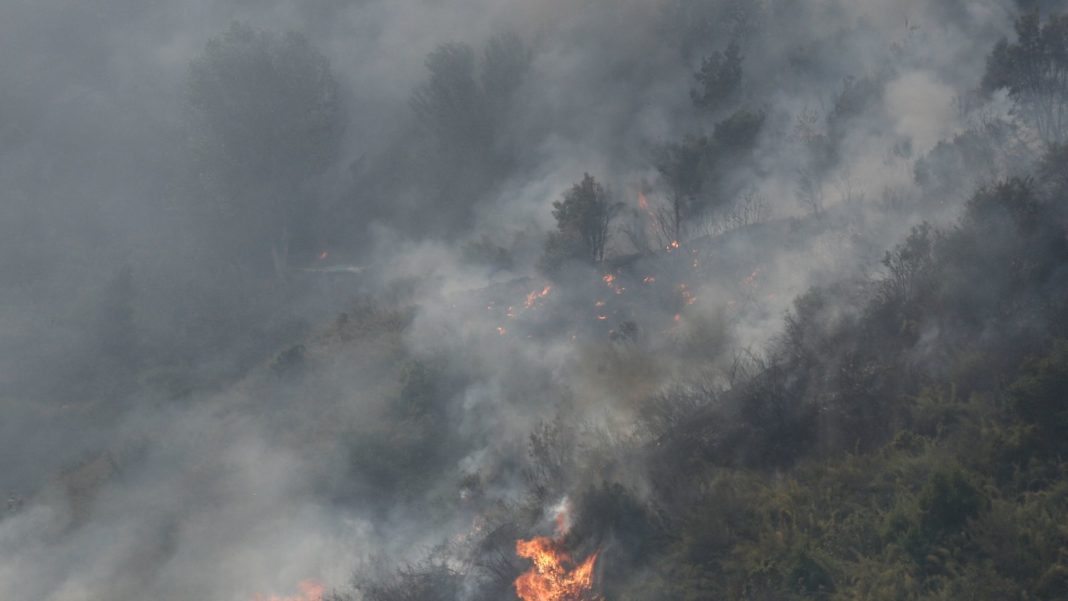 ¡Impactante video! Incendio forestal amenaza el Santuario de Lo Vásquez