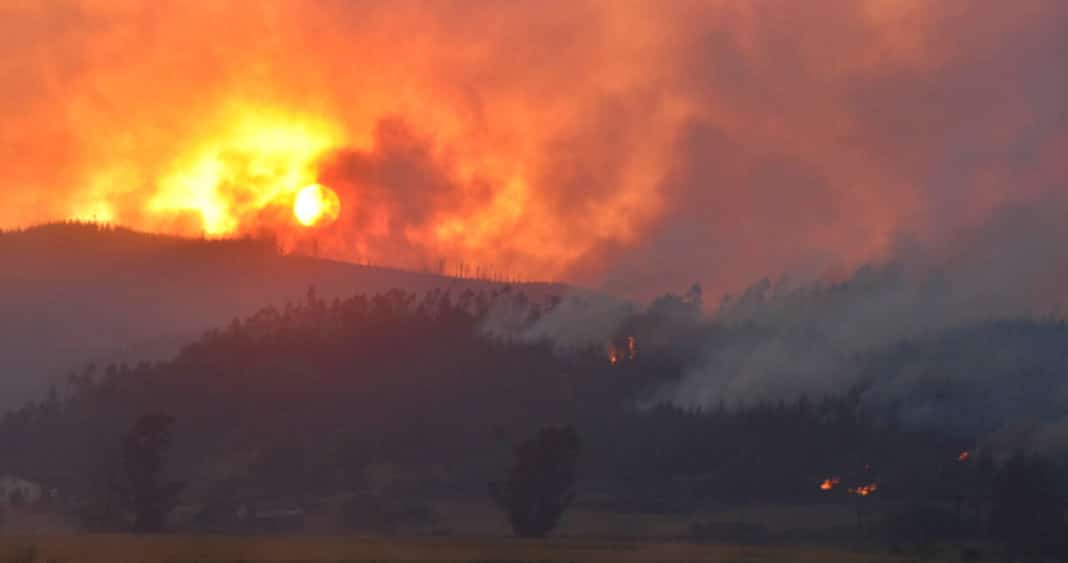 ¡Incendio forestal en Galvarino! Alcalde pide toque de queda y el Gobierno sospecha de intencionalidad