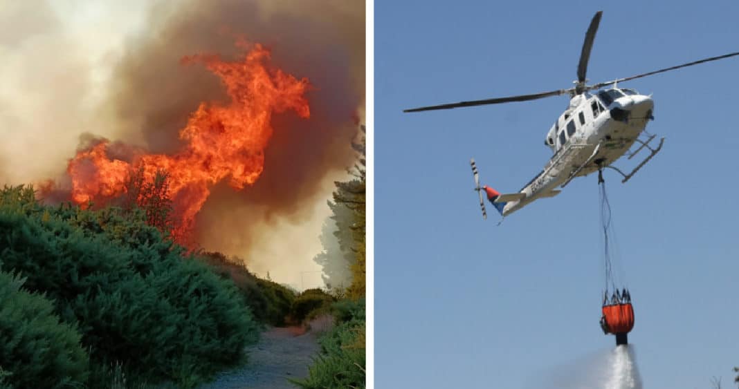 ¡Incendio forestal en Puerto Montt! Llamas amenazan viviendas
