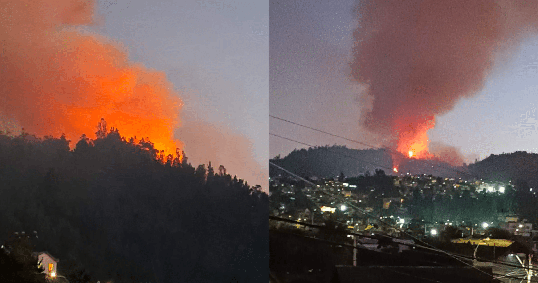 ¡Incendio intencional amenaza a Constitución! Alcalde asegura que está cerca de zonas pobladas