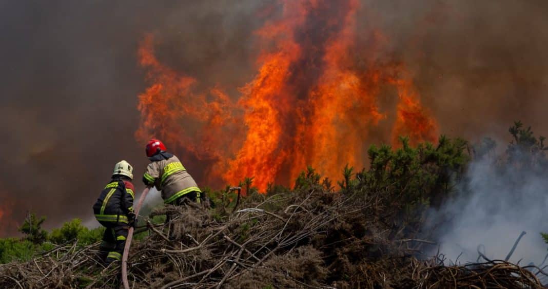 ¡Incendios forestales en Los Lagos! Superficie arrasada supera en un 200% el promedio de últimos 5 años