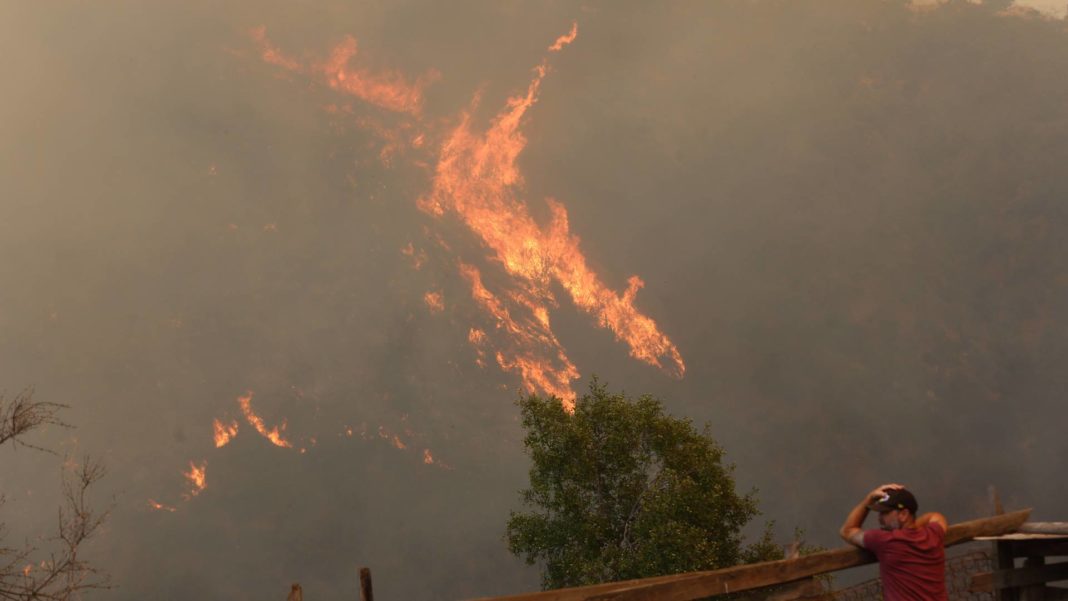 ¡Incendios forestales fuera de control! Alcalde de Galvarino exige sanciones ejemplificadoras y una nueva Ley de Bosques