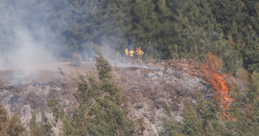 ¡Increíble! Acusaron a 2 hombres de prender fuego, pero en realidad eran héroes luchando contra el incendio