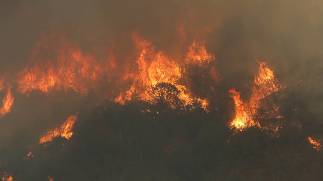 ¡Increíble! Agricultor desafía las llamas en arriesgada maniobra durante incendio forestal en Galvarino