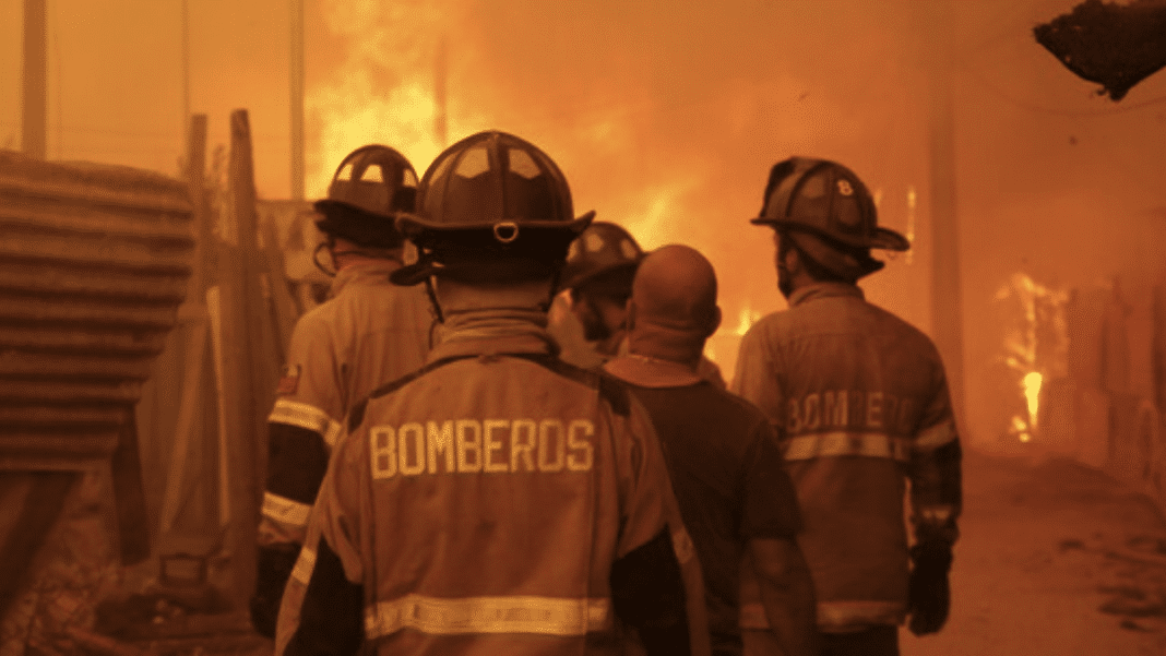 ¡Increíble! Bomberos de Viña del Mar logran superar la emergencia forestal más grande del país