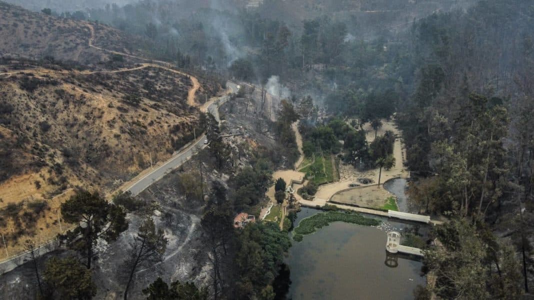 ¡Increíble! Dos detenidos en el Jardín Botánico de Viña del Mar