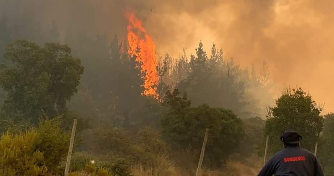 ¡Increíble! Hombre provoca incendio en 220 hectáreas por hacer un asado