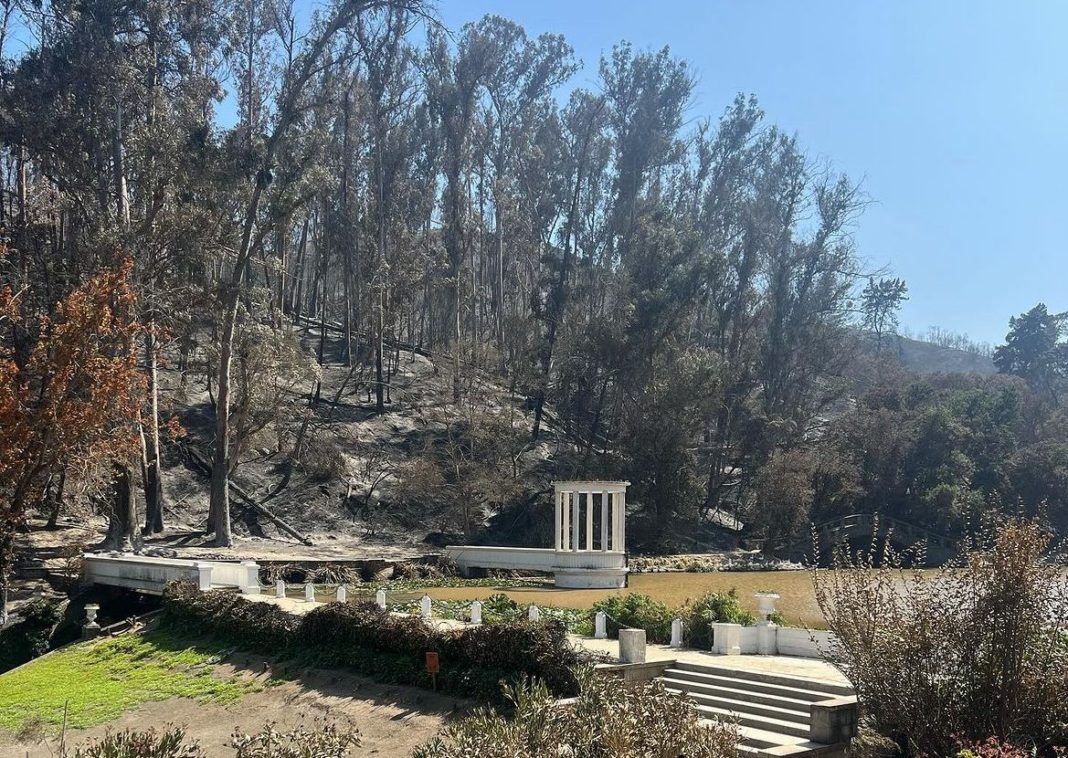 ¡Increíble! Jardín Botánico renace de las cenizas y abrirá sus puertas en dos semanas