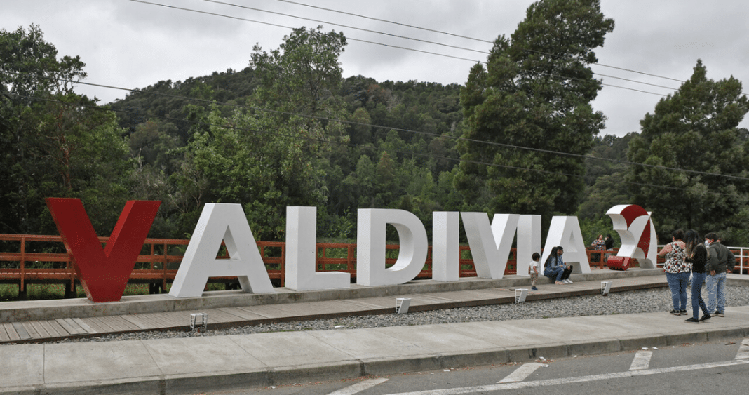 ¡Increíble avance! El cobro electrónico en el transporte público de Valdivia será una realidad este año