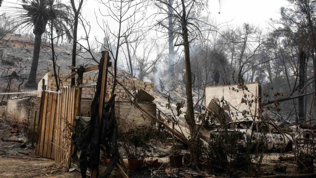 ¡Tragedia en Viña del Mar! Incendios forestales dejan 56 fallecidos y toque de queda se extiende