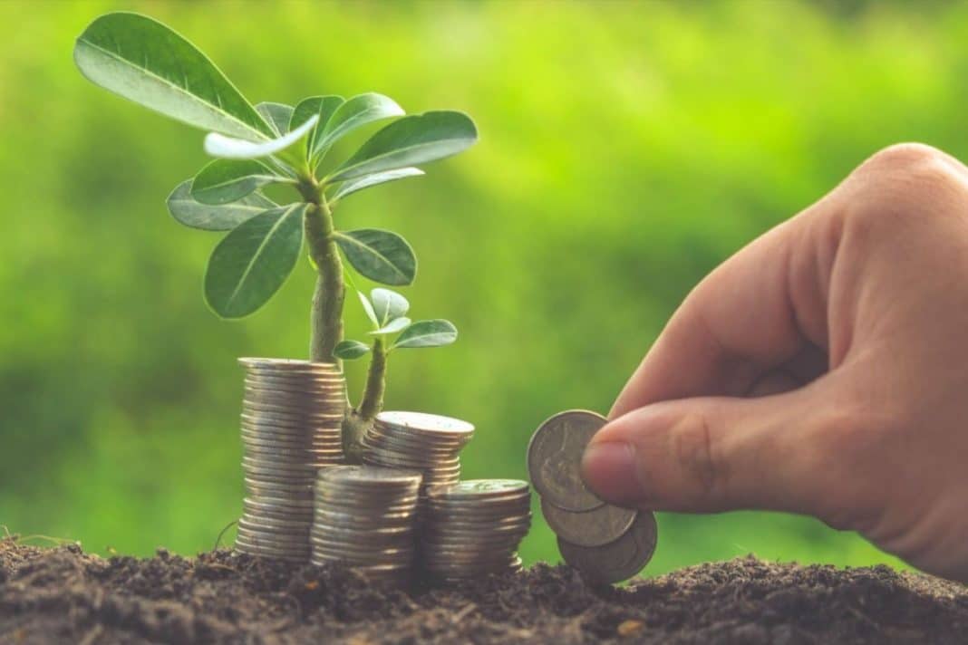 Descubre cómo postular a los fondos semilla de CORFO y hacer crecer tu emprendimiento