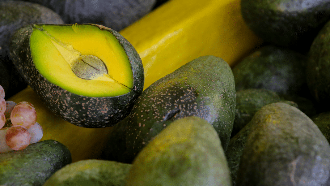 Descubre los sorprendentes beneficios de comer una palta todos los días