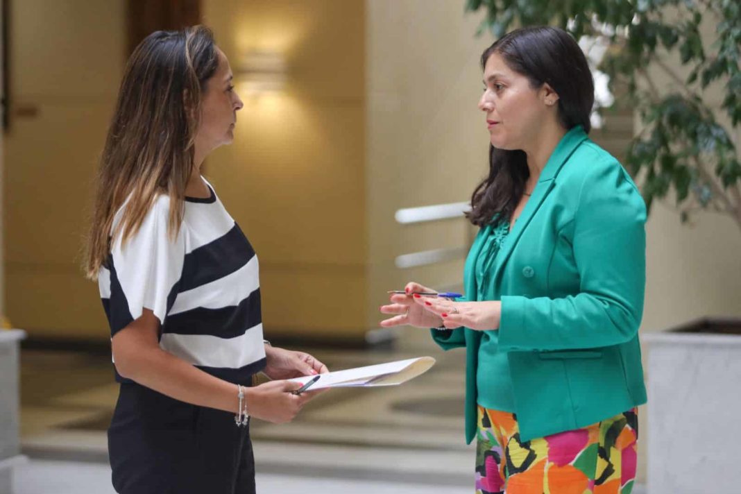 Diputadas hacen balance de avances en agenda pro mujer a dos años de gobierno: “Hay temas pendientes”