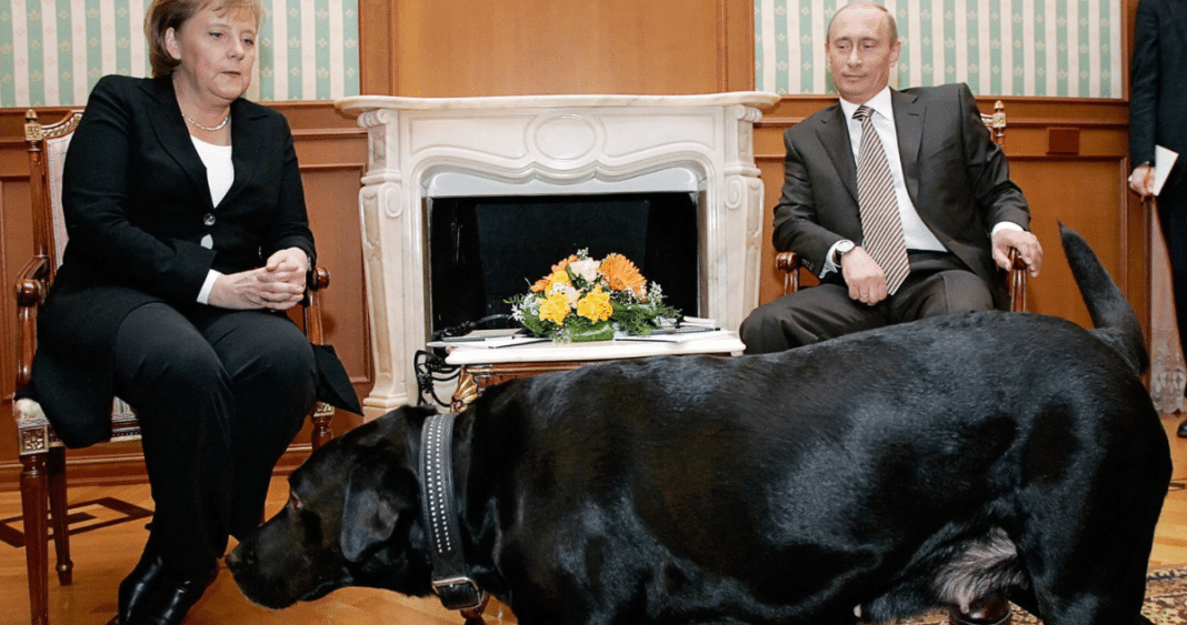 El día en que Vladimir Putin aterrorizó con su perro a Angela Merkel en plena reunión en Rusia
