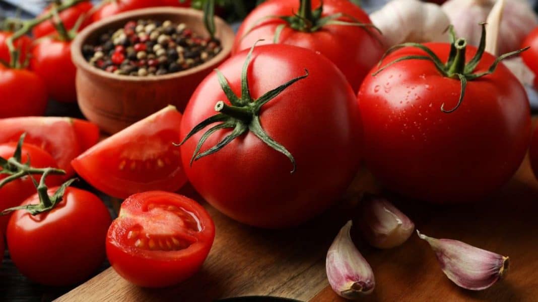 El tomate, el aliado natural para controlar la hipertensión