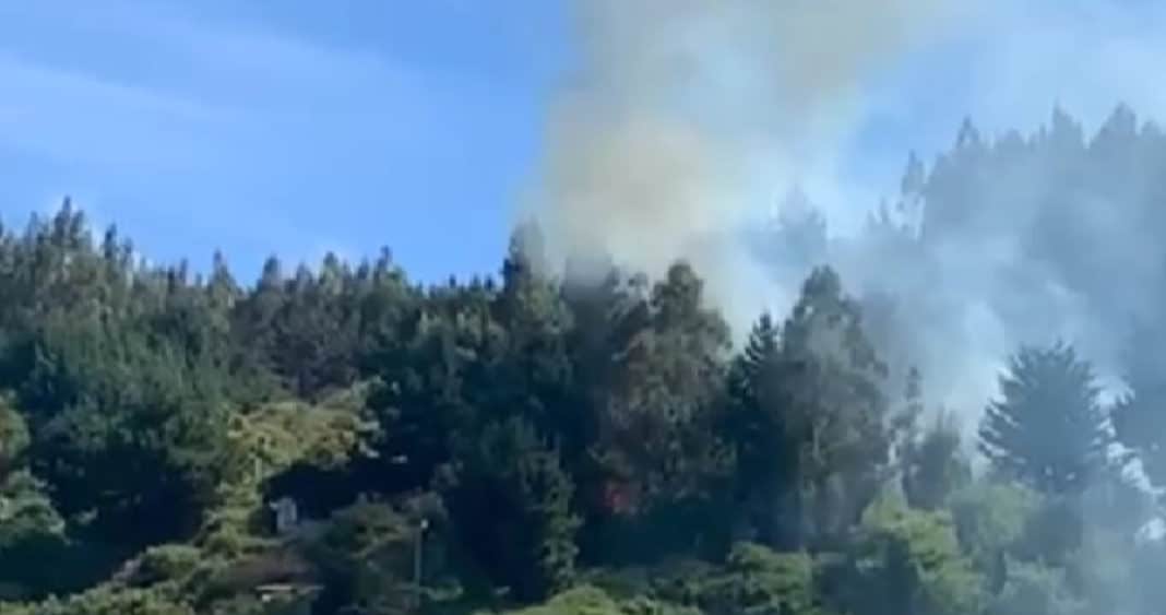 Impactante video del incendio forestal en Talcahuano: dos casas en peligro