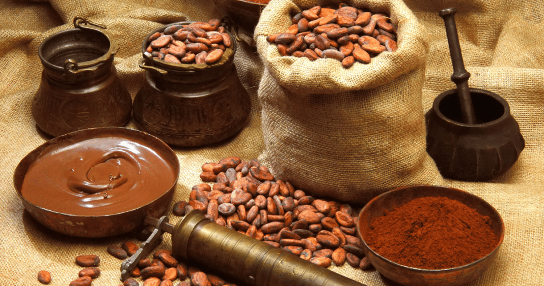 Increíble descubrimiento: el cacao nació en Sudamérica, no en México