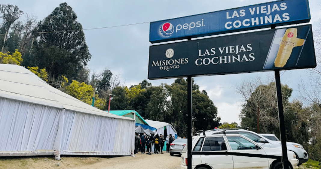 Muere la emblemática fundadora de 'Las Viejas Cochinas' en Talca