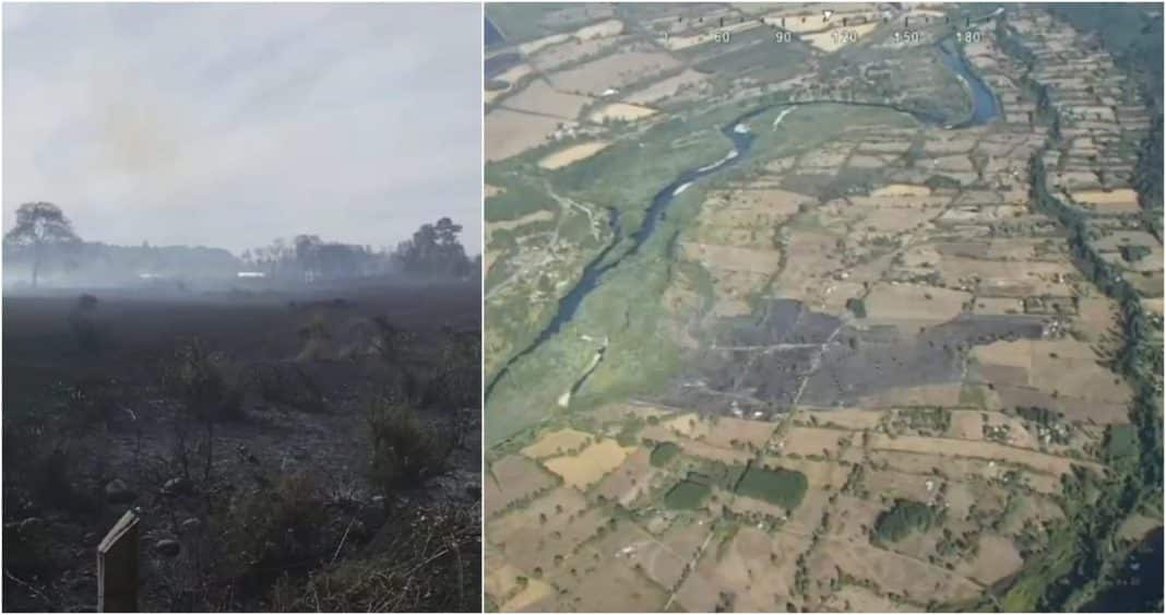 ¡Alerta Roja! Incendio forestal en Pitrufquén consume viviendas