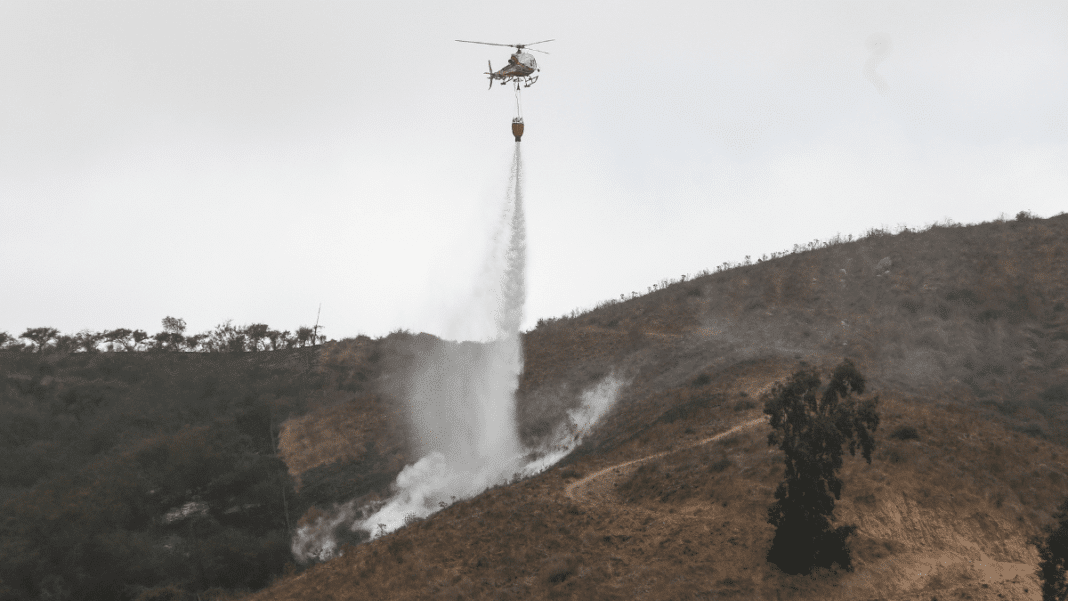 ¡Alerta Roja en Monte Patria! Incendio forestal amenaza sectores habitados