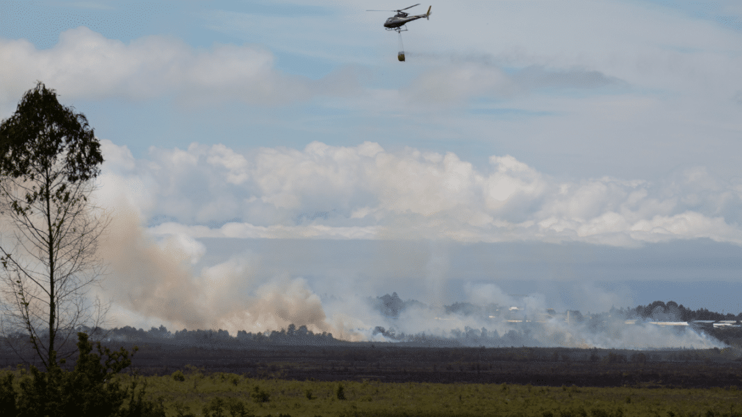 ¡Amur hace un llamado urgente a los diputados para aprobar proyecto de ley que protege contra incendios forestales y rurales!