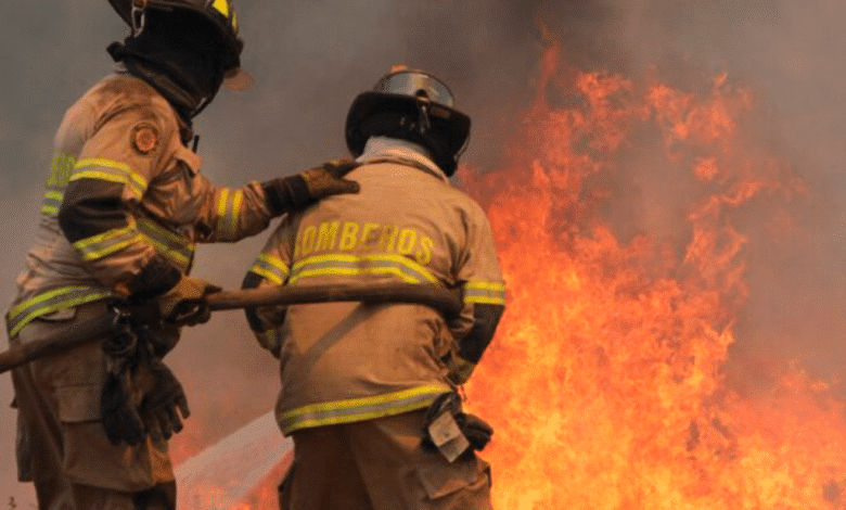 ¡Bomberos luchan contra un voraz incendio forestal en Angol que amenaza con destruir todo a su paso!