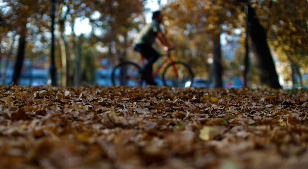 ¡Descubre cuándo comienza el otoño en Chile y cómo afecta al país!