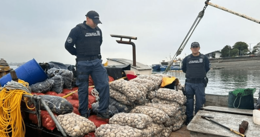 ¡Escándalo en Calbuco! Embarcación con 150 mallas de almejas contaminadas con marea roja evade control