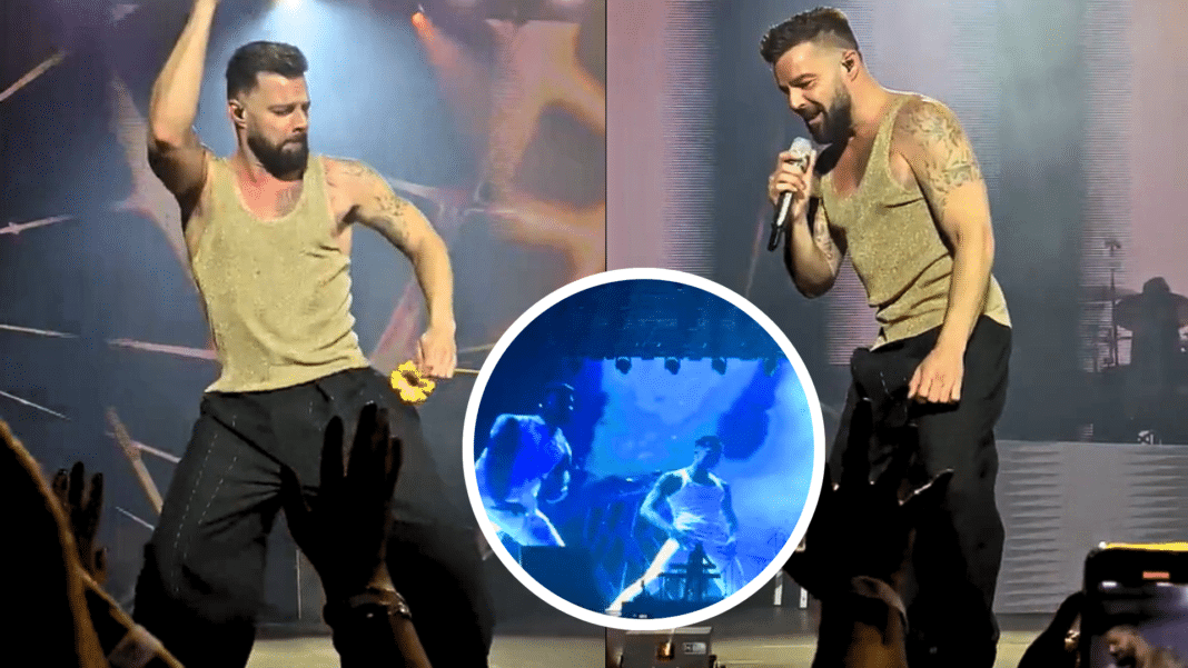 ¡Imágenes inéditas! Ricky Martin sorprende a Chile con un show privado