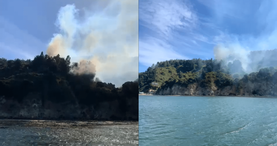 ¡Impactante! Detienen al culpable del incendio forestal en caleta de Talcahuano