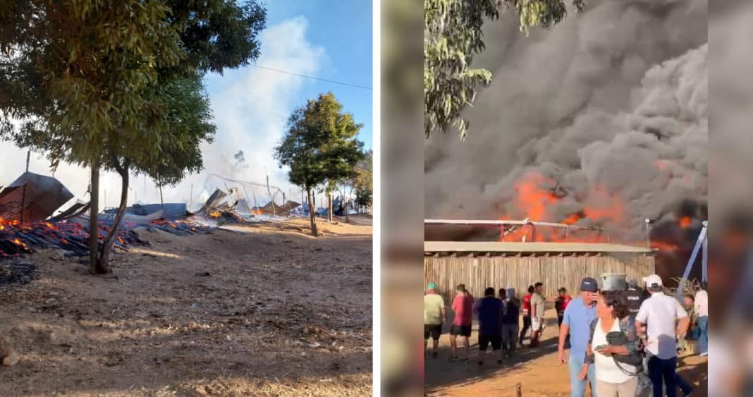 ¡Impactante incendio en la Fiesta de la Vendimia en Marchigue! Locales consumidos por las llamas