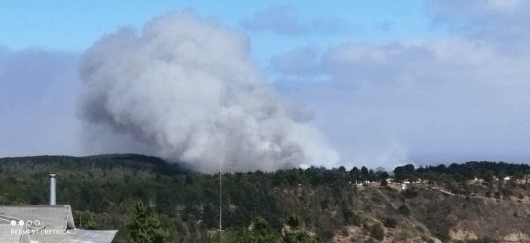 ¡Impactante incendio forestal en Valparaíso! ¿Qué está sucediendo en Laguna Verde?