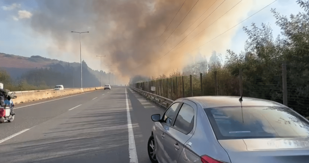¡Incendio forestal amenaza con llegar a Temuco! ¿Qué está pasando en Padre Las Casas?