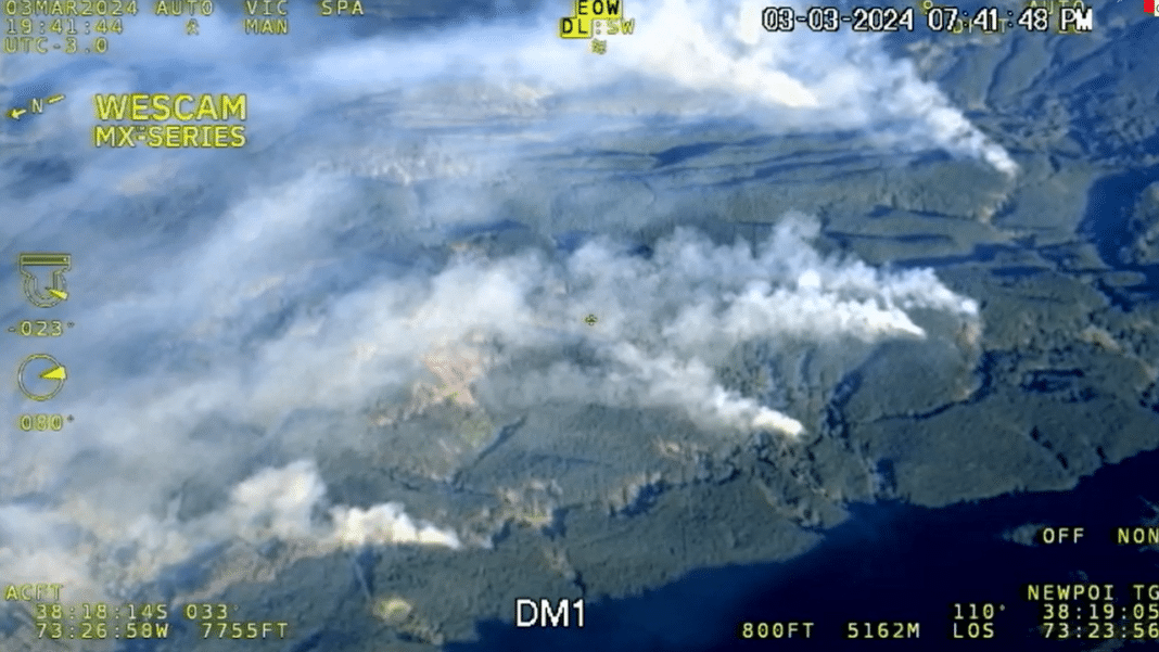 ¡Incendios intencionales en Tirúa! ¿Quién está detrás de esta catástrofe?