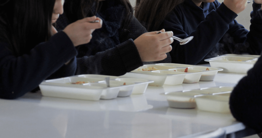 ¡Increíble! Más de 150 mil estudiantes recibirán alimentación en La Araucanía este 2024