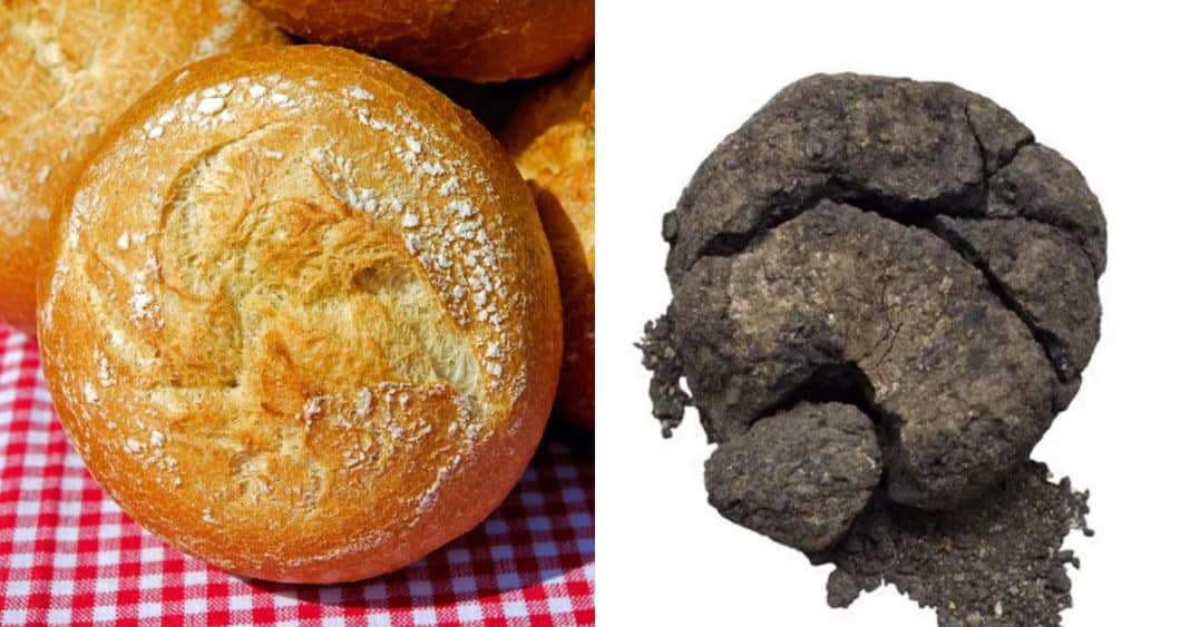 ¡Increíble descubrimiento! Arqueólogos encuentran el pan más antiguo del mundo