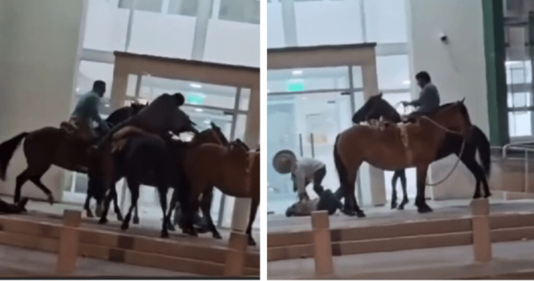 ¡Increíble pelea de jinetes en Longaví! Dos personas y un caballo resultan heridos