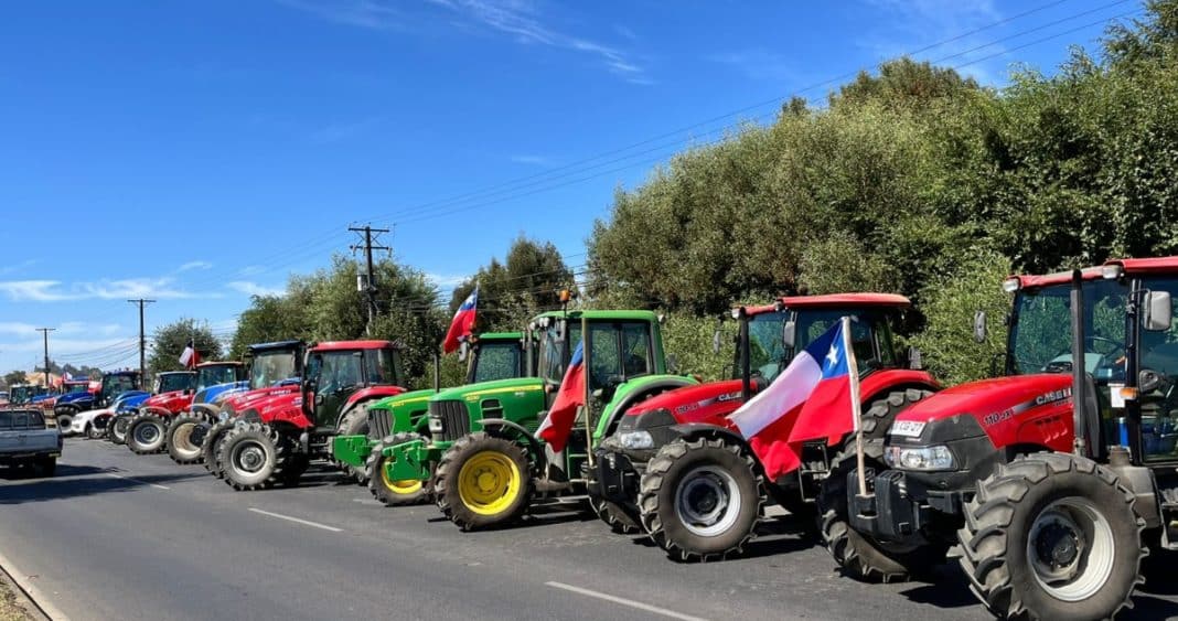 ¡Pequeños agricultores toman las calles! Protestan en sus tractores por el bajo precio del trigo en Temuco