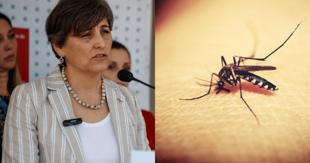 Alerta en Chile: Ministra de Salud Aborda Brote de Dengue Autóctono en Los Andes